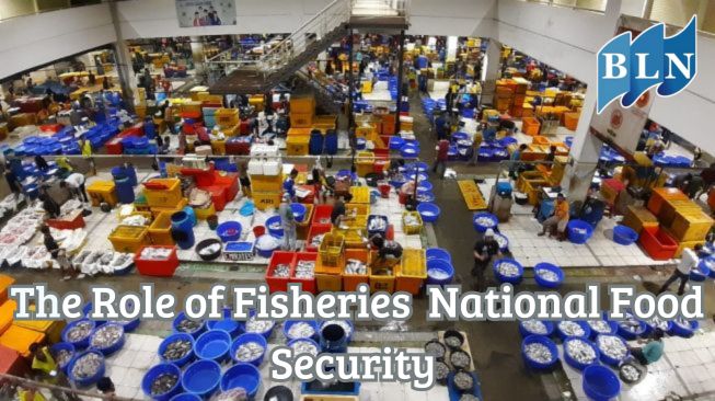 This is How The Role of Fisheries in National Food Security 